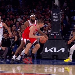 Jalen Brunson, Miles Bridges